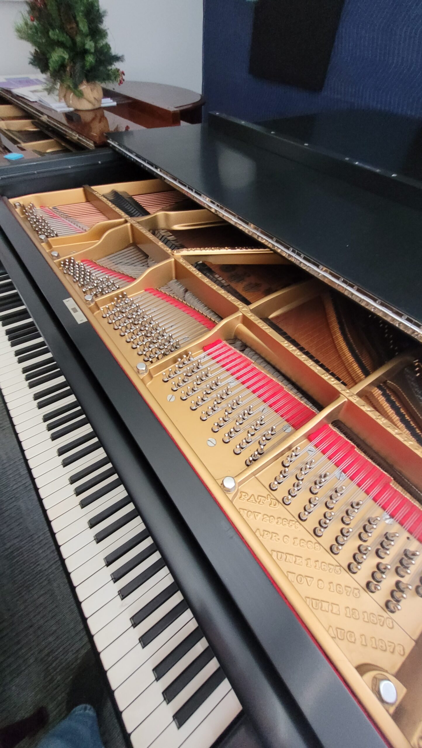 The action and hammers of the restored Steinway
